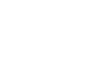 logo2