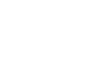 logo3